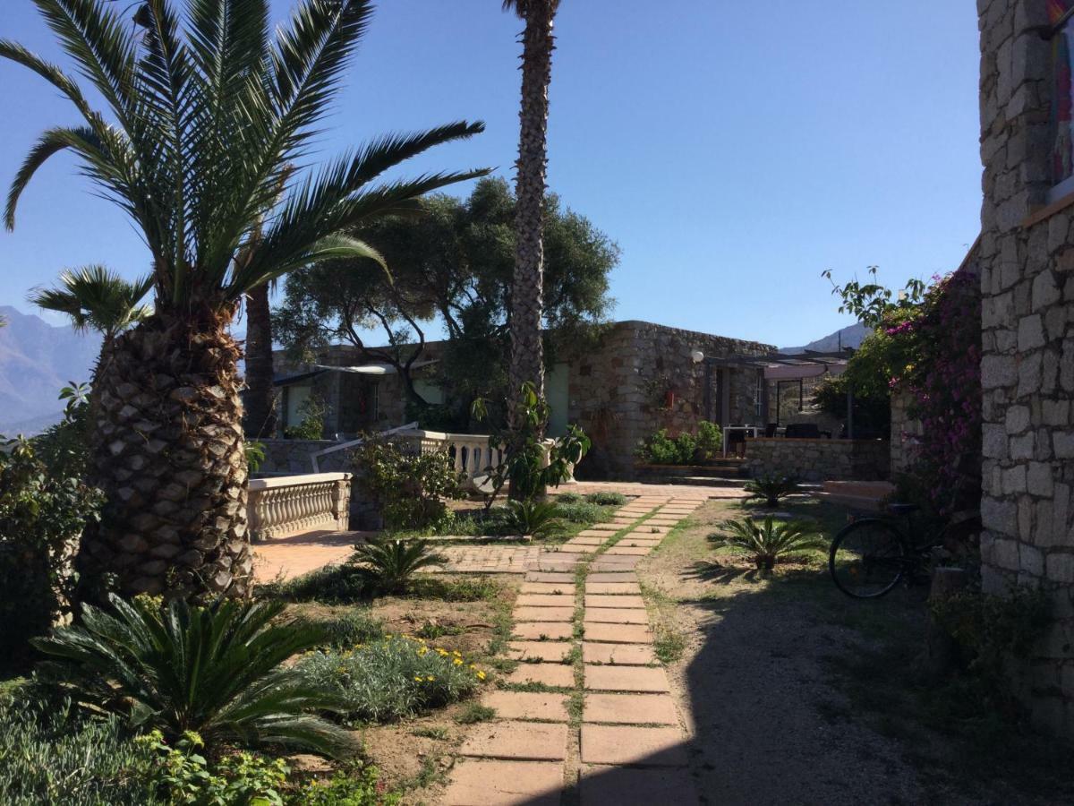 Villa U Mulinu Calvi  Ngoại thất bức ảnh